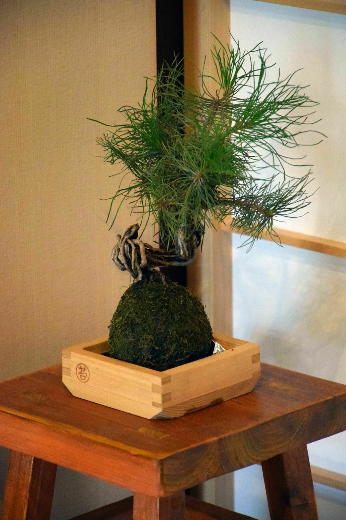 Guesthouse Hanamiya Kyoto Extérieur photo